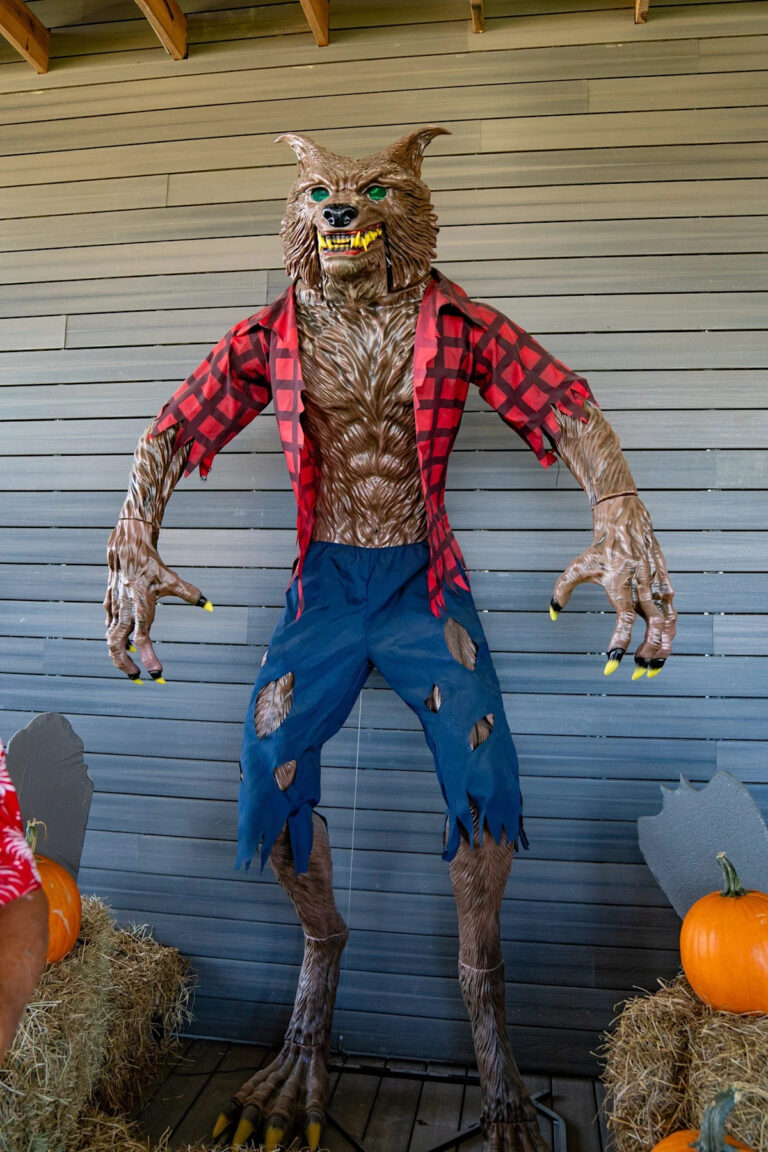 Ругару, Летиче и другие криптиды Что нужно знать о существах фольклора Луизианы