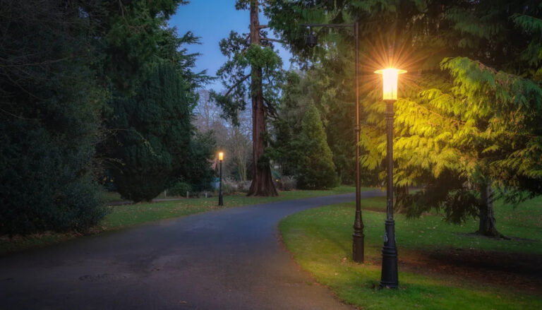 Ученые предупреждают после обнаружения упущенного побочного эффекта городских огней США: «Дыхание»