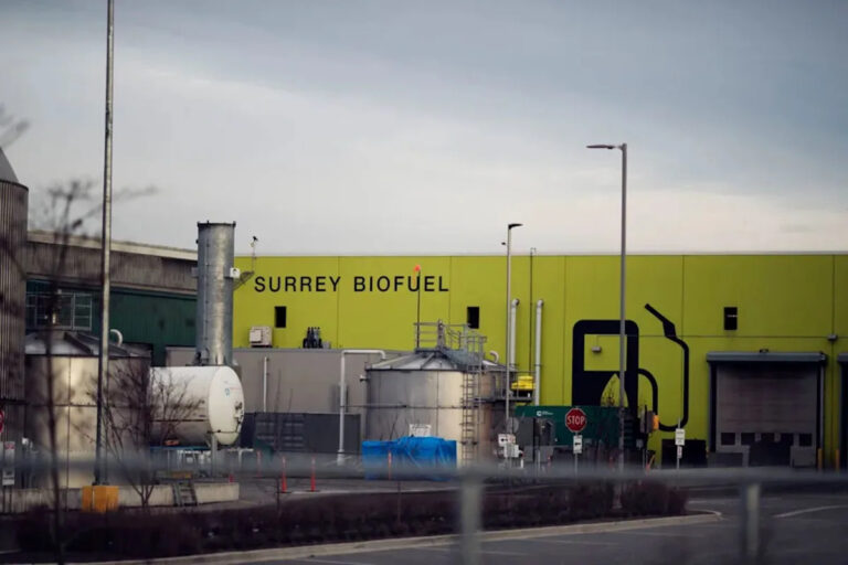 Ученые обнаружили ранее неизвестный микроб, способный решить глобальный кризис: «Мы заметили что-то странное»