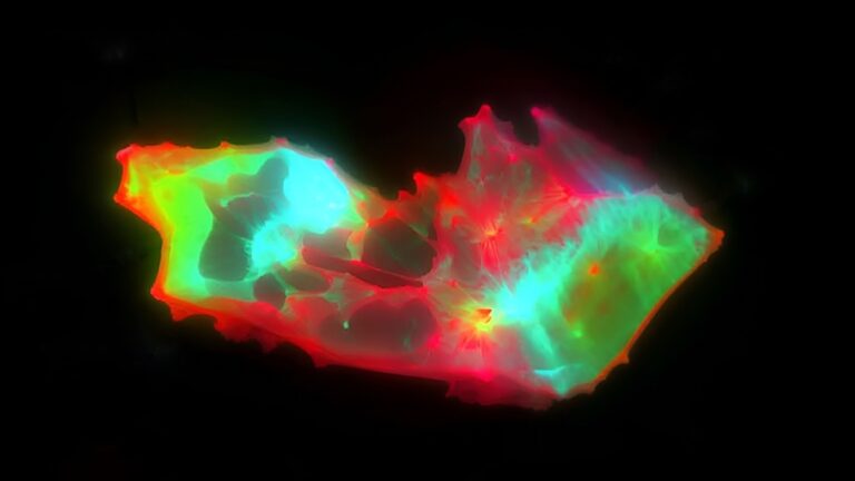 Странные структуры, скрывающиеся в крови людей с длительным COVID