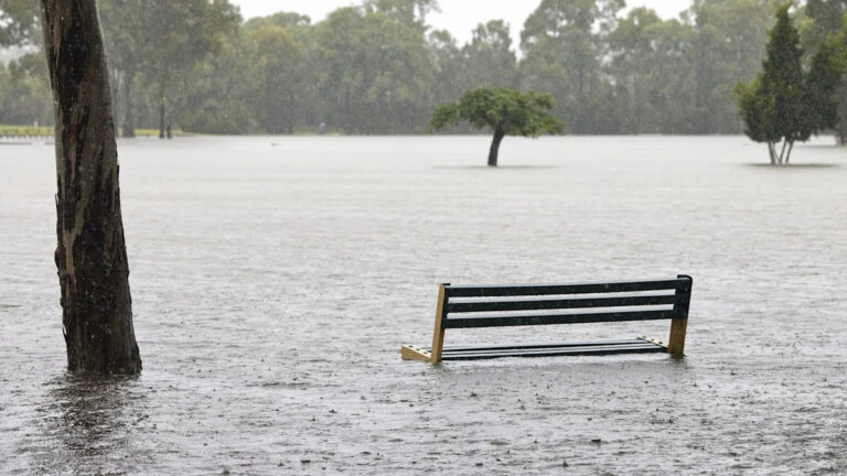 Карта Ла-Нинья делает некоторые ключевые прогнозы о зиме 2025 года