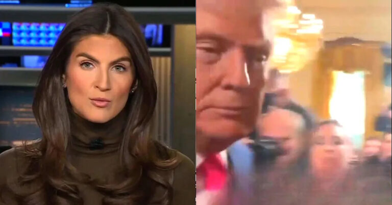 Кейтлан Коллинз из CNN призвал Трампа игнорировать вопросы дважды на фоне бомбовой оболочки Эпштейна