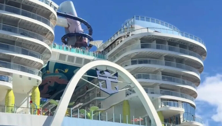 Видео с круизных лайнеров зажигает жаркие дебаты в Интернете: «Мой желудок тошнит»