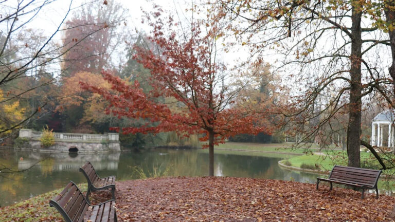 Чиновники предупреждают детей об обнаружении в парке: «Это… распространяется».