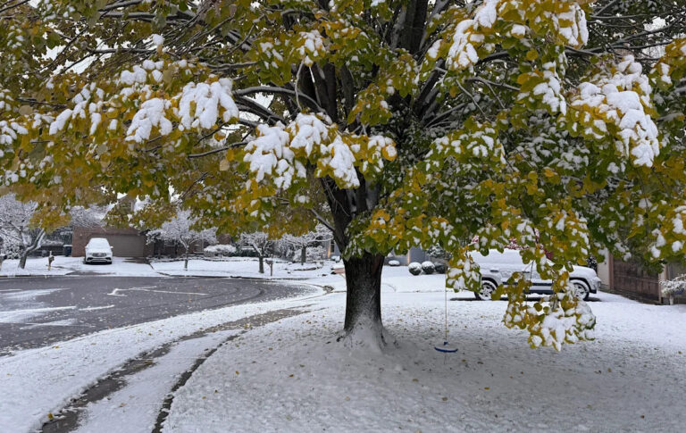 Сильный снег на севере, когда южане дрожат в рекордно холодном состоянии.