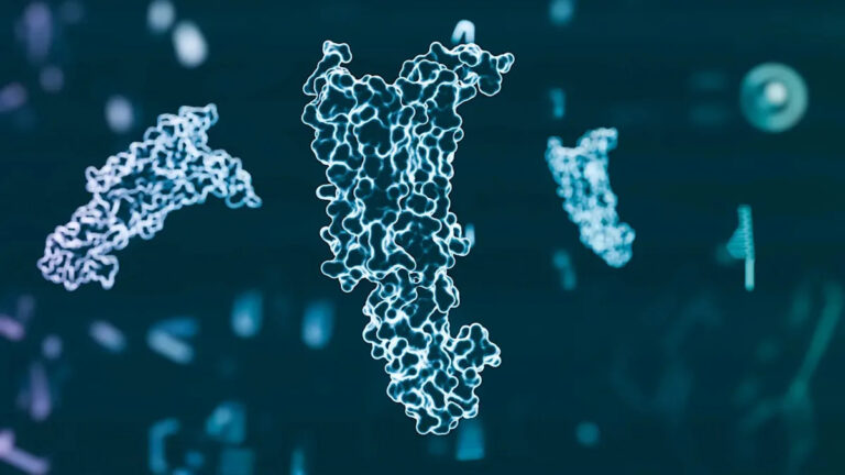 Таблетки от ожирения Lilly, которые должны быть быстро рассмотрены FDA, попали в «поддержку» испытания