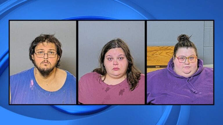 Трое взрослых в округе Утагами, обвиняемых в пренебрежении детьми, провели предварительные слушания