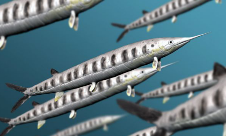 Эти горькие редкие окаменелости раскрывают древние морские соперничества