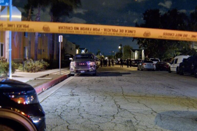 Молодая музыкантка была застрелена в Нортридже, друзья детства подставили ее?