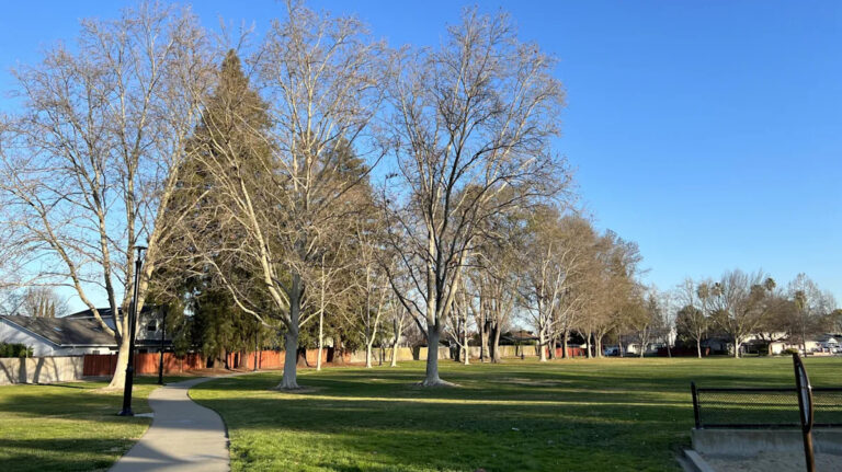 Самый чистый город Калифорнии получил название Сан-Франциско Suburb по результатам опроса 2025 года