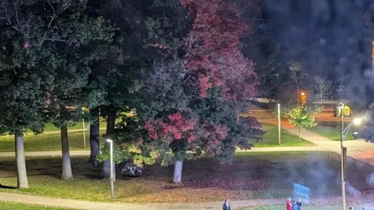 Студент поделился фотографией разочаровывающей новой функции в кампусе: «Это полное брезгливое бельмо»